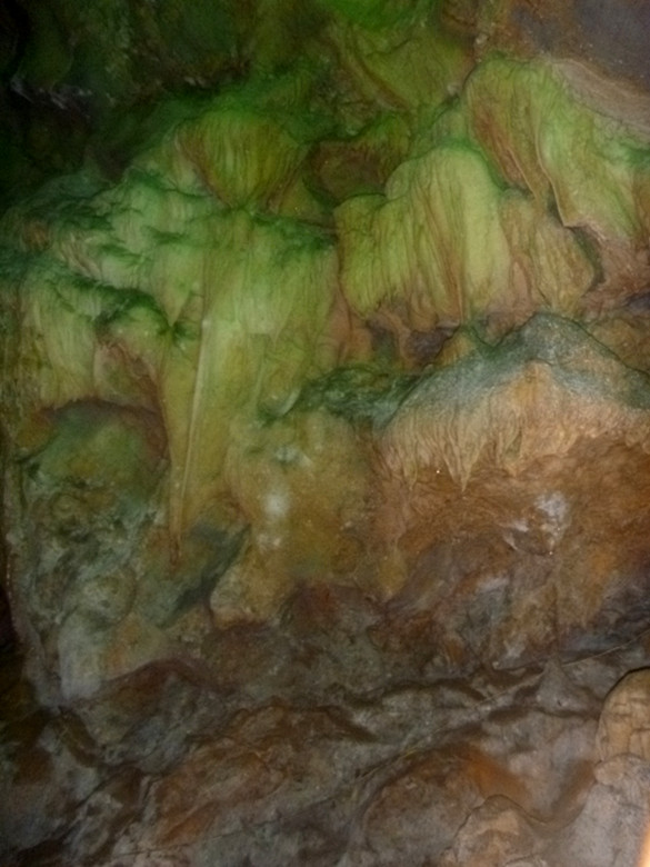 p1090110_.jpg