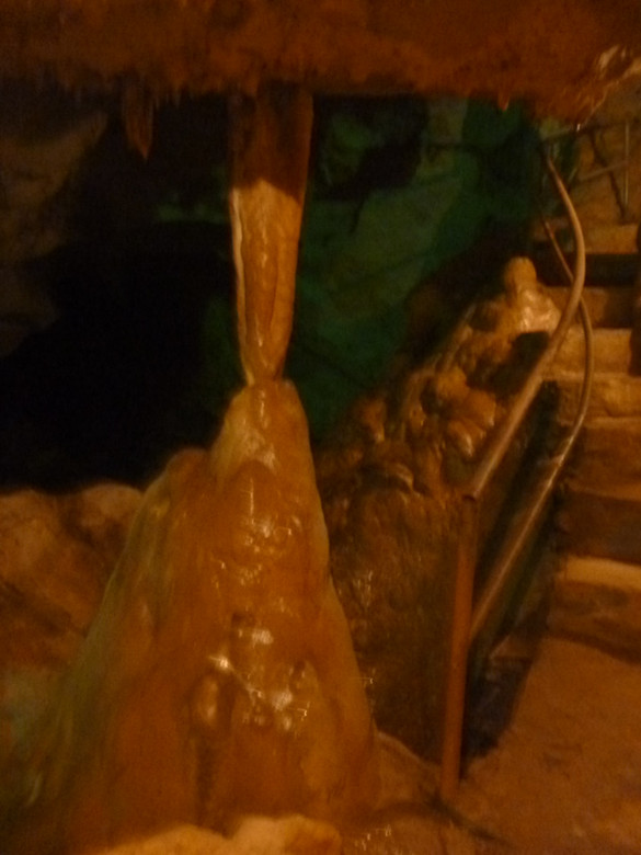 p1090115_.jpg