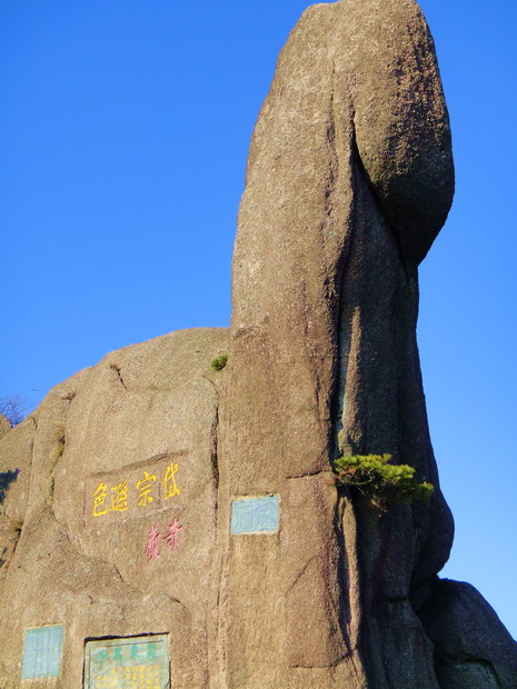 dsc00540.jpg