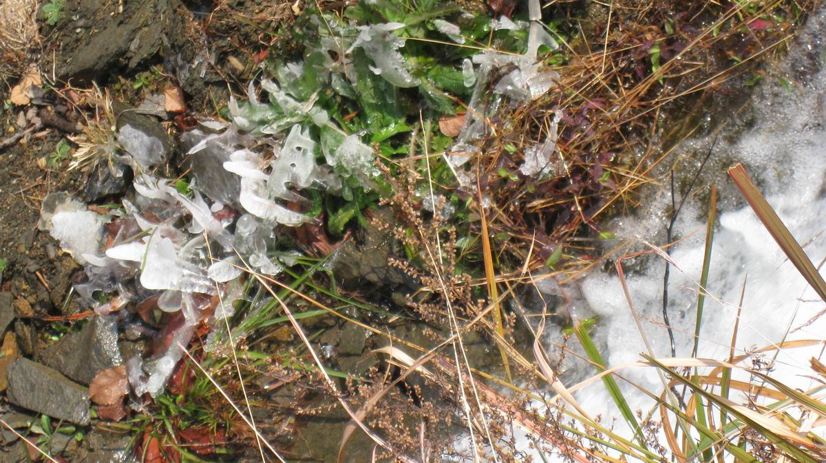 С 2011-12-10 002.jpg