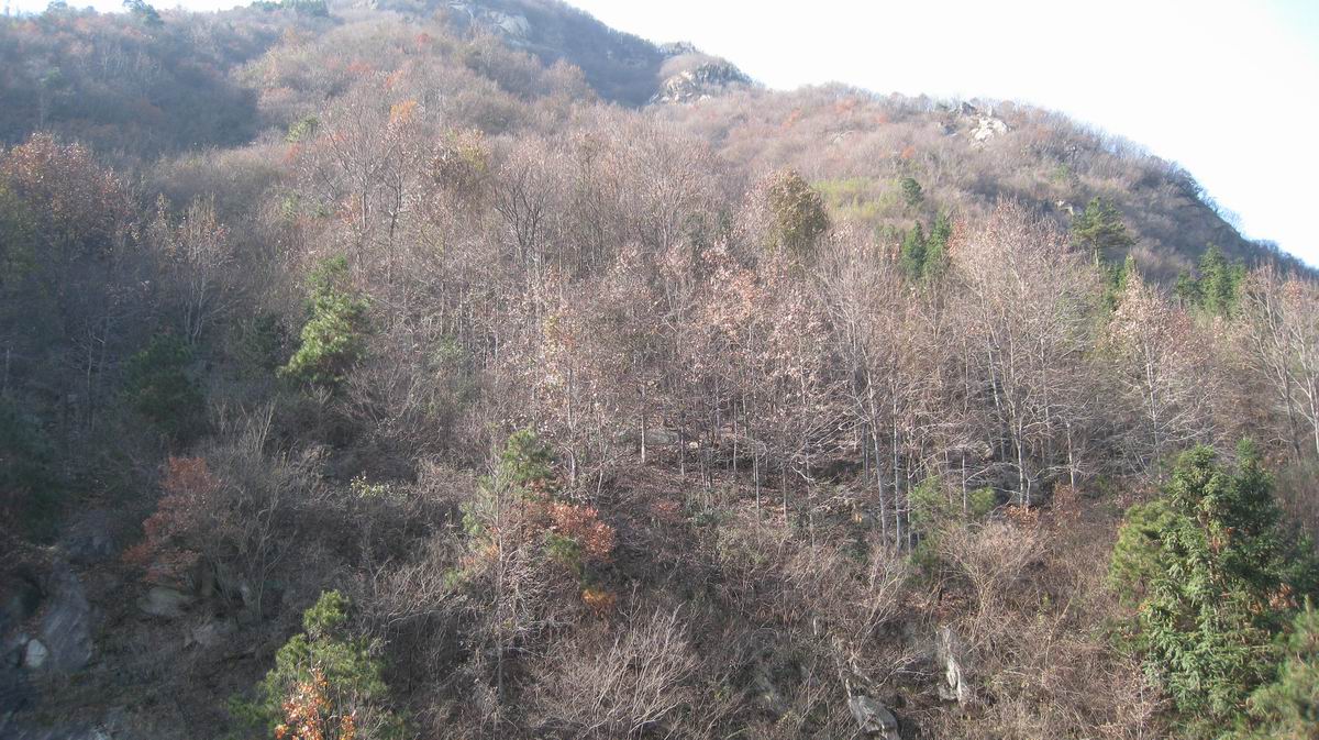 С 2011-12-10 022.jpg