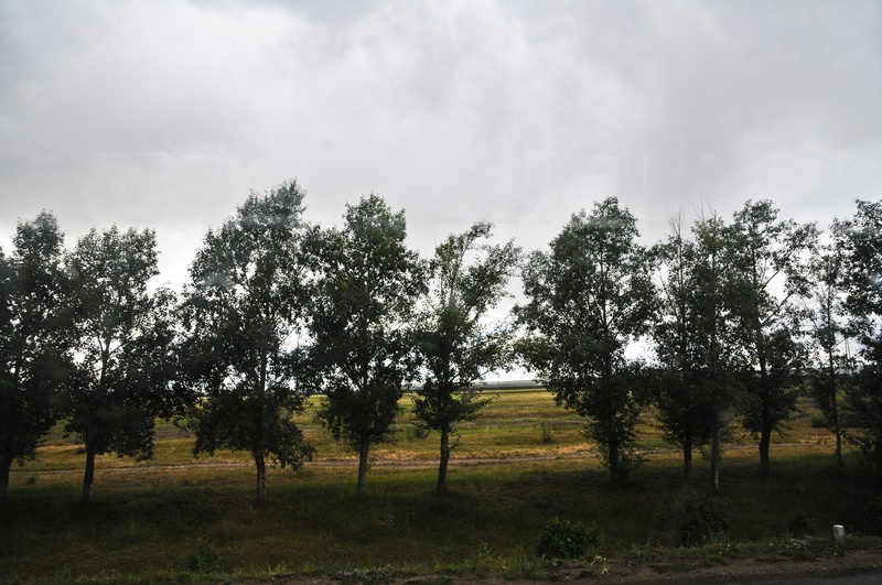 ɶ-284.jpg