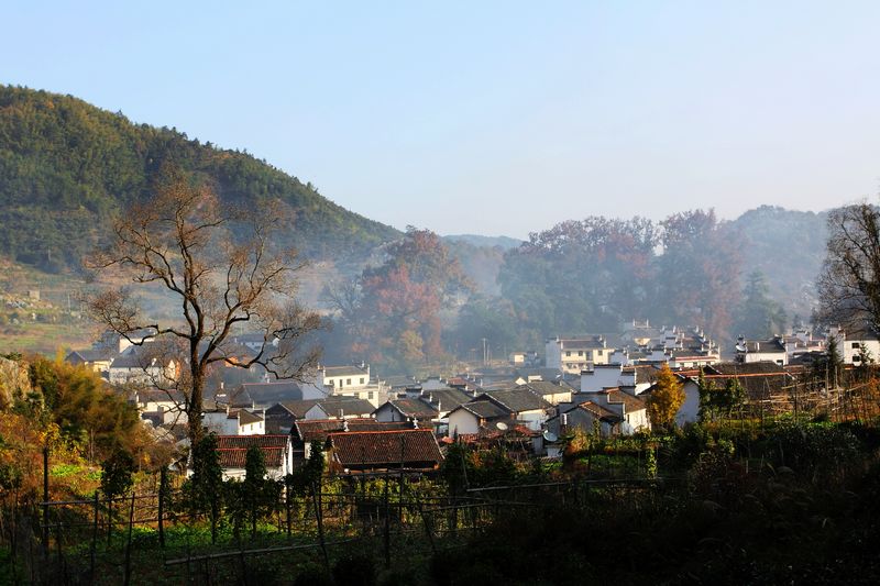 dpp_0194.jpg