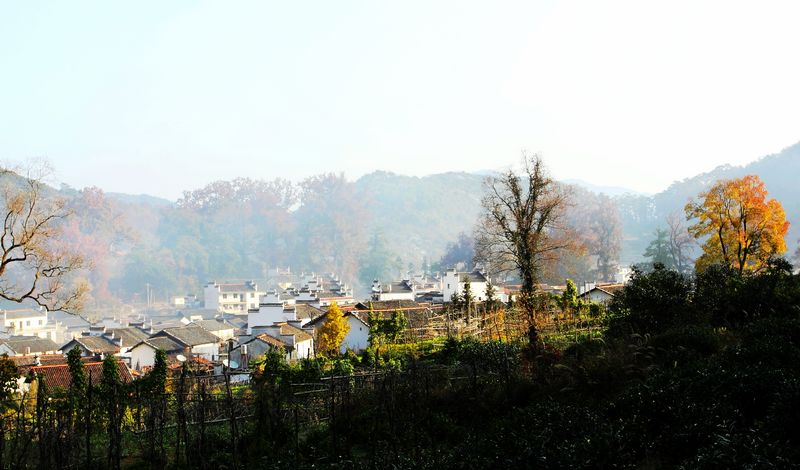 dpp_0196.jpg