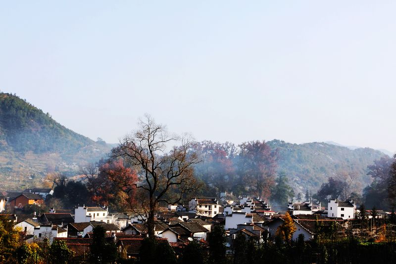 dpp_0203.jpg