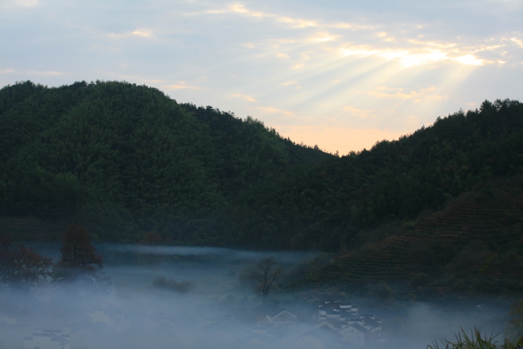 img_4638.jpg