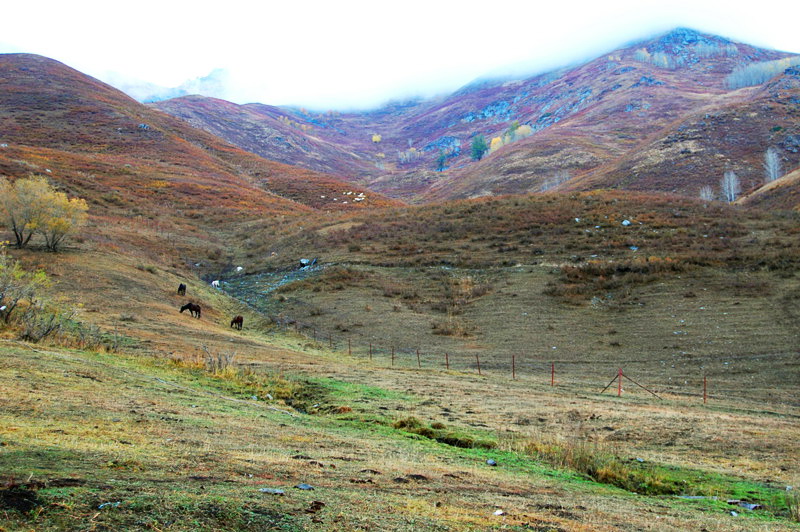 dsc_3608.jpg