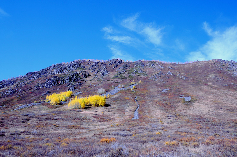 dsc_0198.jpg