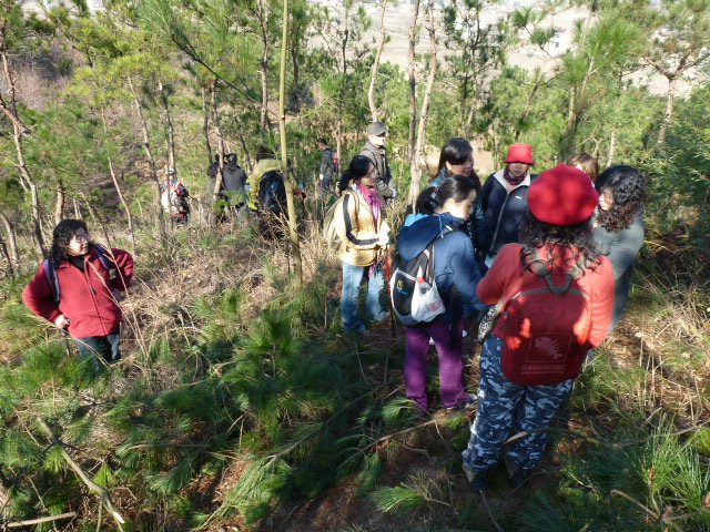 p1020381.jpg
