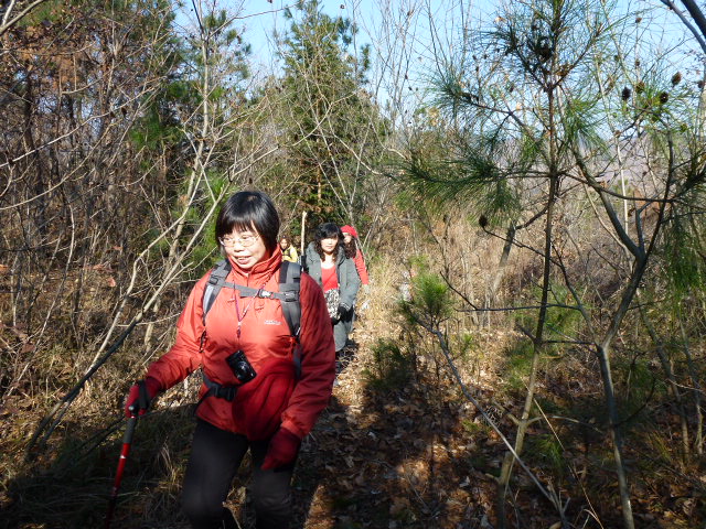 p1020384.jpg