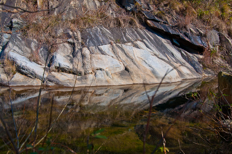 dsc_0015-1.jpg