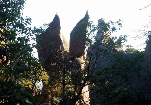 С dsc_0129.jpg