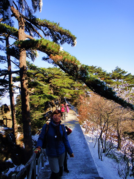 dsc00429.jpg