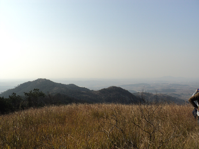 dsc06595_.jpg