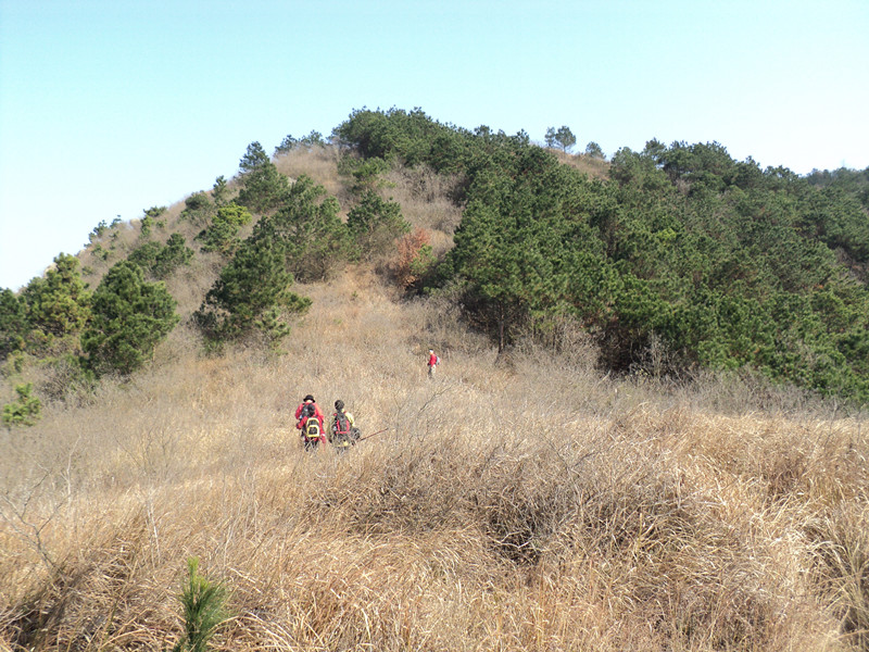dsc06604_.jpg