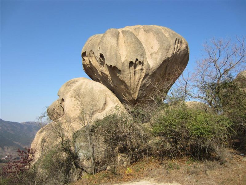 24.jpg