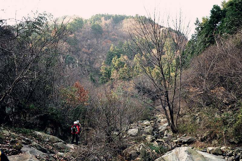 dsc_0126_.jpg