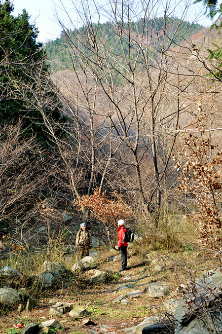 dsc_0130__.jpg