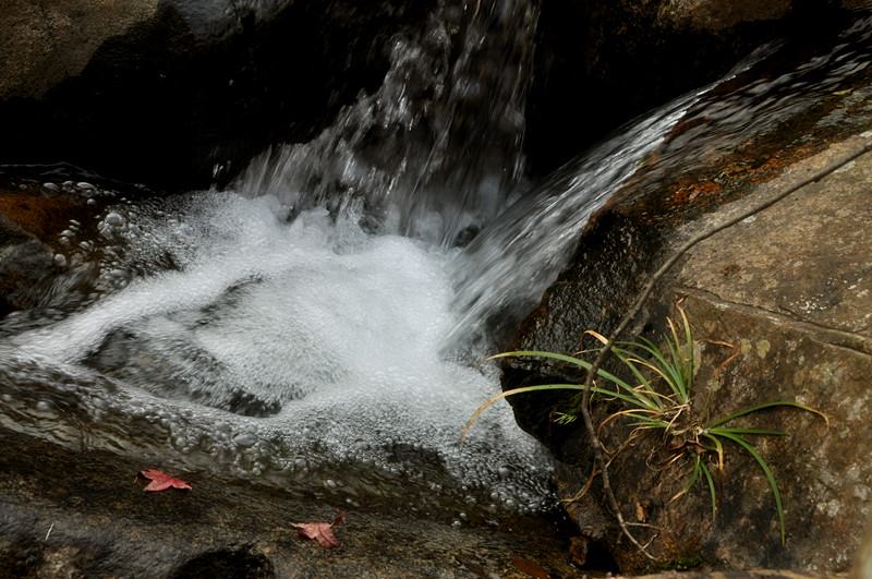 dsc_0156_.jpg