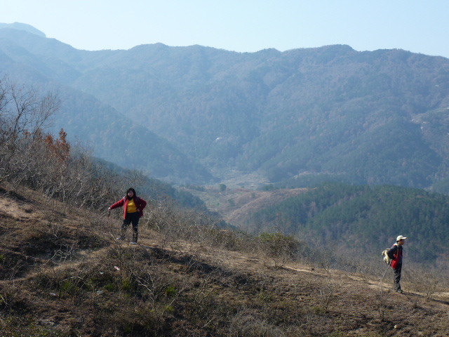 p1020415.jpg
