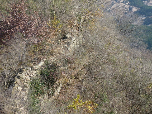 p1020417.jpg