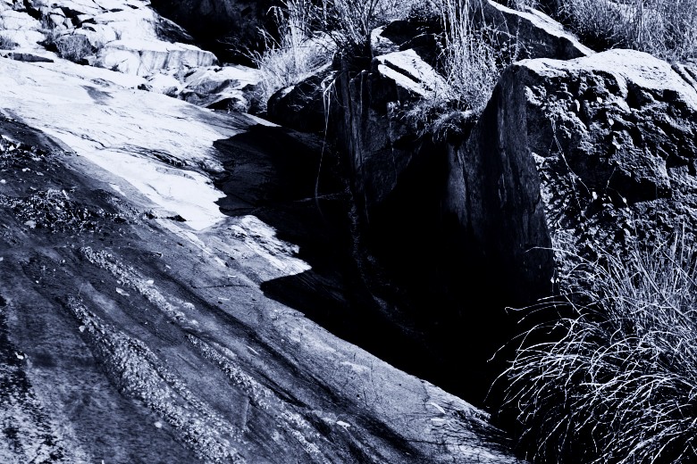  051_conew1.jpg