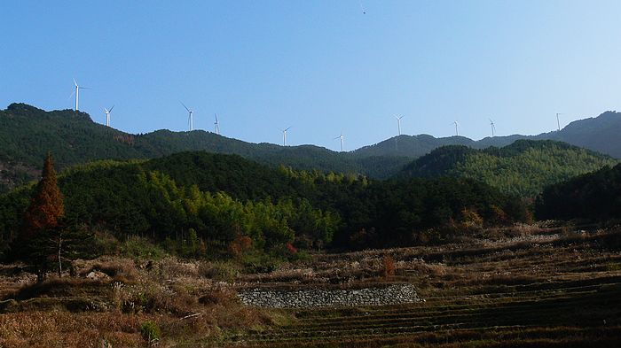 p1170656.jpg