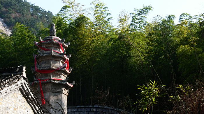 p1170662.jpg