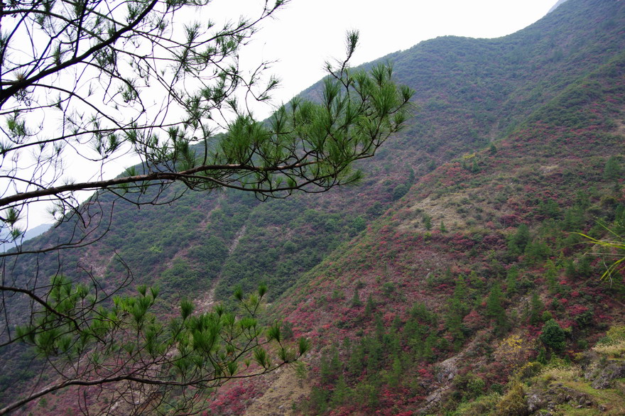 С imgp8914.jpg