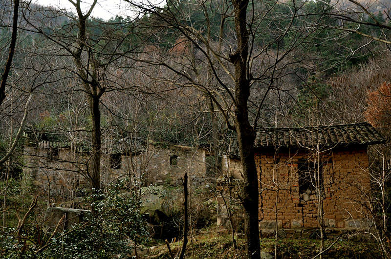 dsc_0191_.jpg
