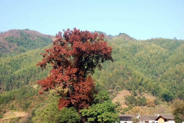 С dsc_0362.jpg