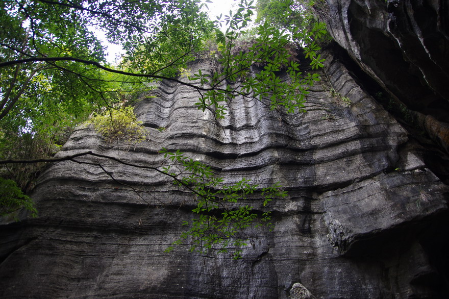 С imgp9481.jpg