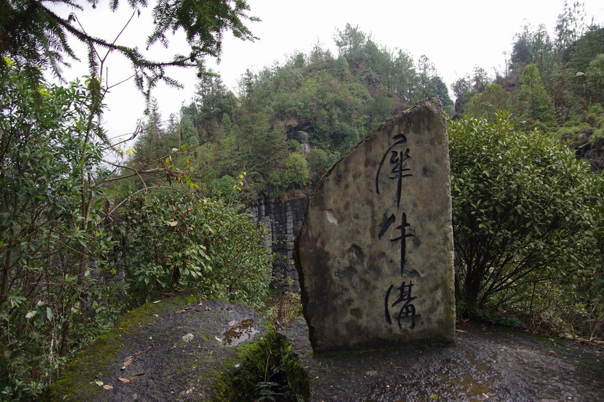 С imgp9537.jpg