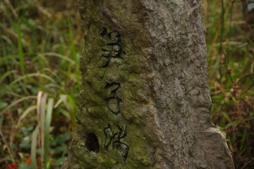 С imgp9554.jpg