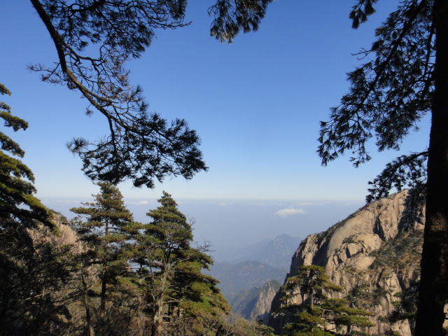 dsc02594.jpg