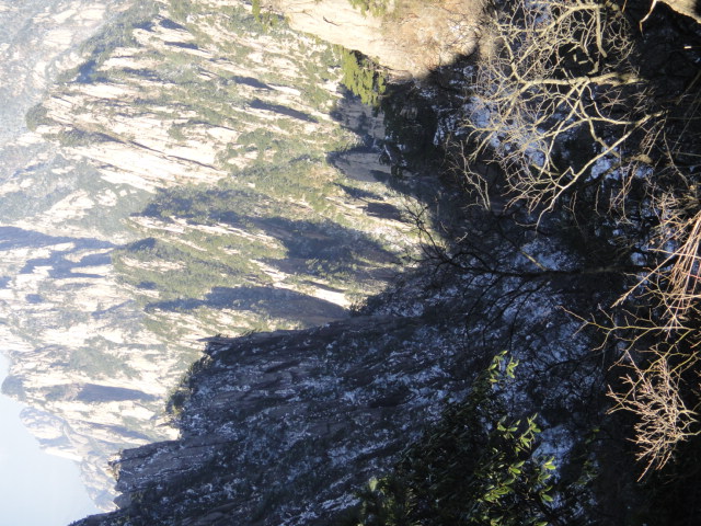 dsc02563.jpg
