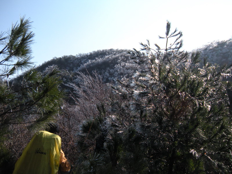 201112̫ɽѻ 001-1.jpg