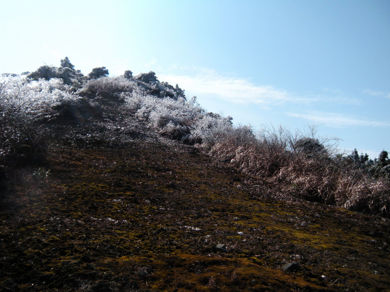 201112̫ɽѻ 014-1.jpg