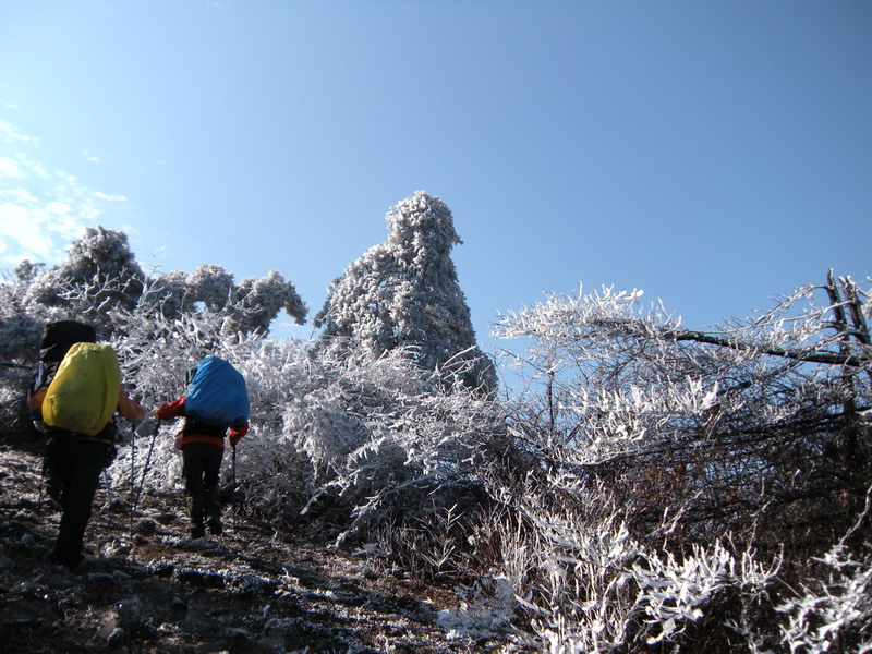 201112̫ɽѻ 018-1.jpg