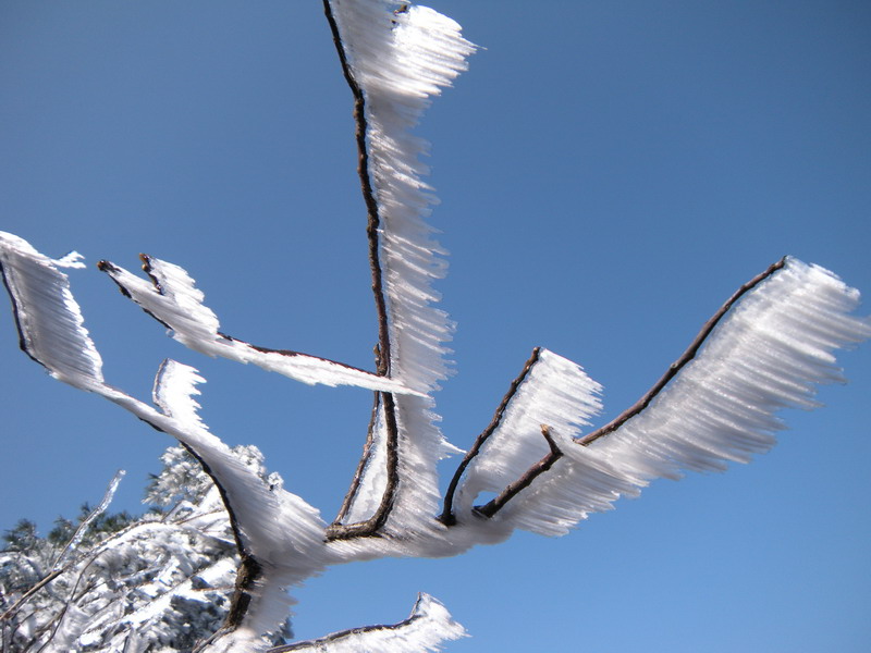 201112̫ɽѻ 020-1.jpg