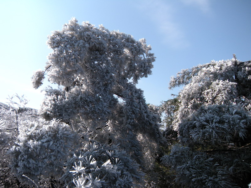 201112̫ɽѻ 024-1.jpg