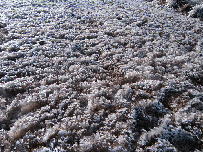 201112̫ɽѻ 030-1.jpg