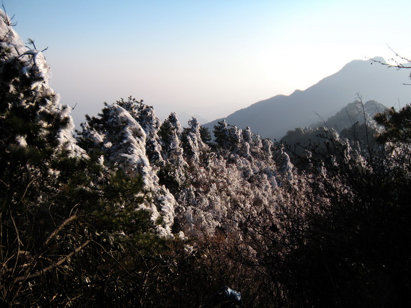201112̫ɽѻ 048-1.jpg