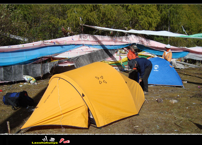 dsc08644.jpg