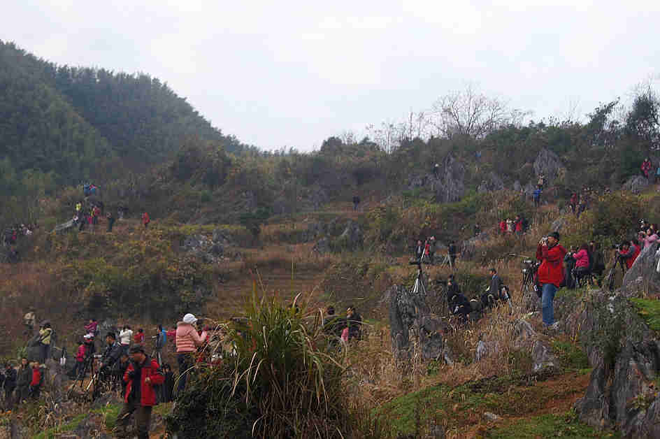 165.jpg