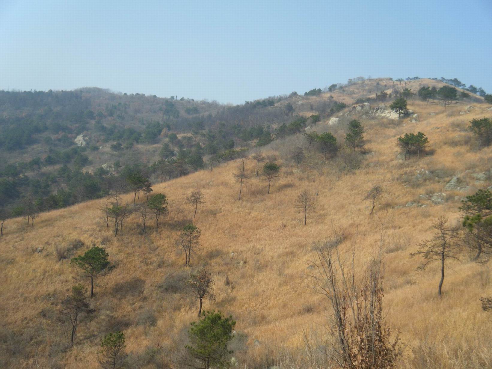 dscf2658.jpg