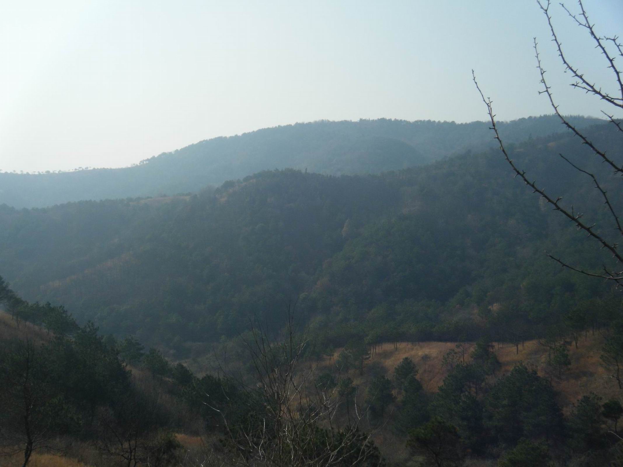 dscf2659.jpg
