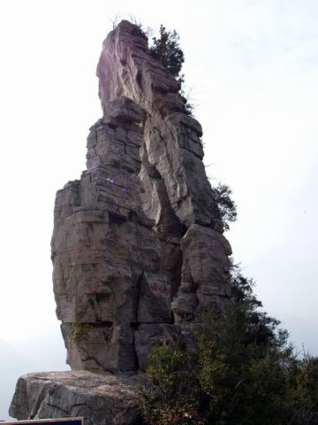 С pb295090.jpg