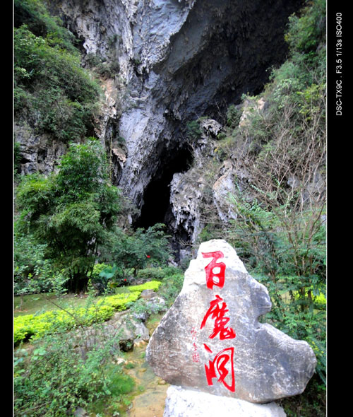dsc01817.jpg