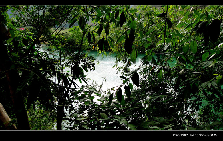 dsc01875.jpg